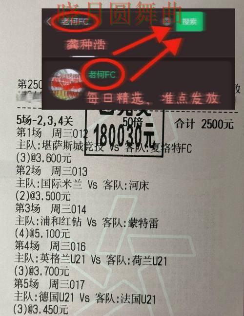 世界杯投注注册哪个好用更适合新手一文看懂